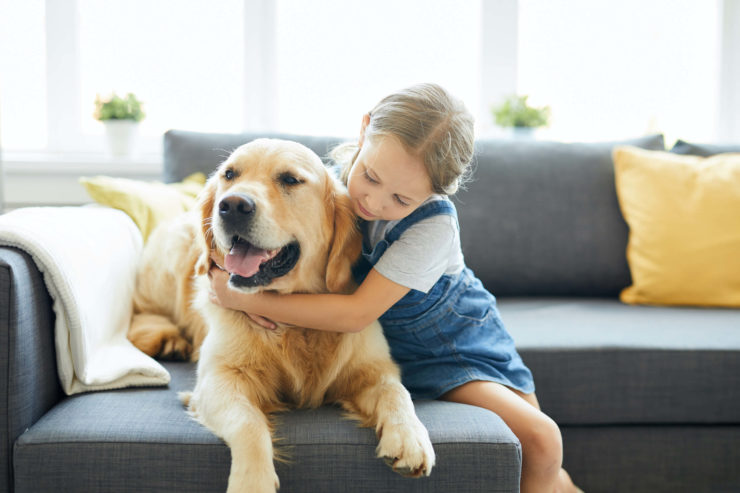 Here are the best pets for kids according to a vet - Moshi