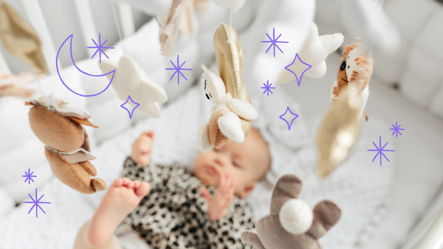 how-much-do-newborns-sleep-moshi